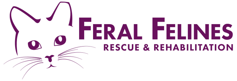 Feral Felines Rescue & Rehabilitation | Feral & Semi Feral Cat Rescue in Lethbridge, Newfoundland, Canada